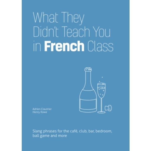 What They Didn't Teach You In French Class (häftad, eng)