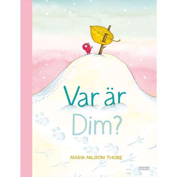 Var är Dim? (bok, halvklotband)