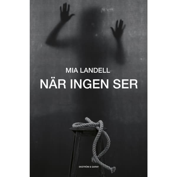 När ingen ser (inbunden)