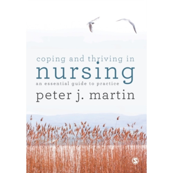 Coping and Thriving in Nursing (häftad, eng)