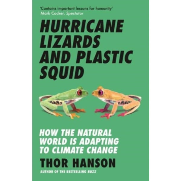 Hurricane Lizards and Plastic Squid (häftad, eng)