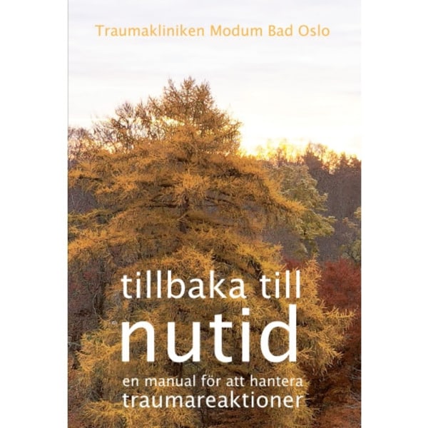 Tillbaka till nutid (bok, storpocket)