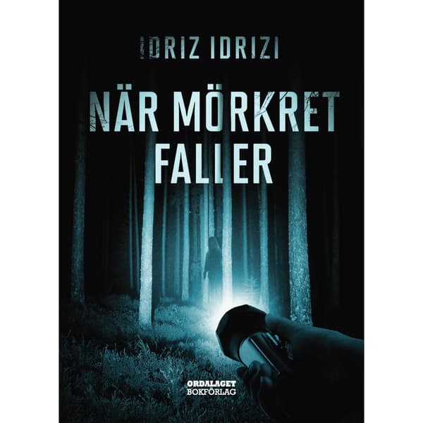 När mörkret faller (inbunden)