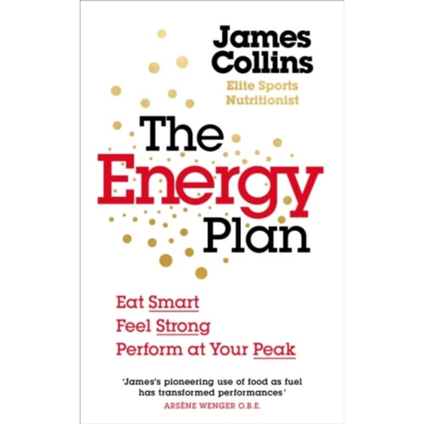 The Energy Plan (häftad, eng)