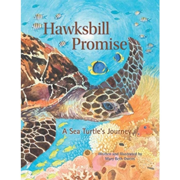 Hawksbill Promise (inbunden, eng)