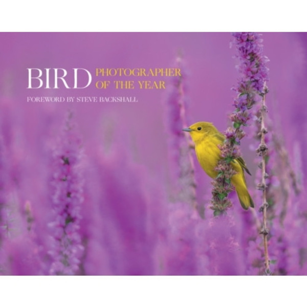 Bird Photographer of the Year (inbunden, eng)