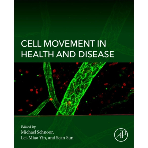 Cell Movement in Health and Disease (häftad, eng)