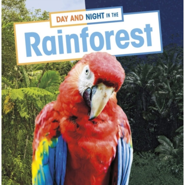 Day and Night in the Rainforest (inbunden, eng)
