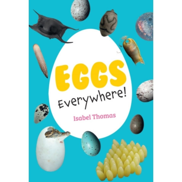 Eggs Everywhere! (häftad, eng)