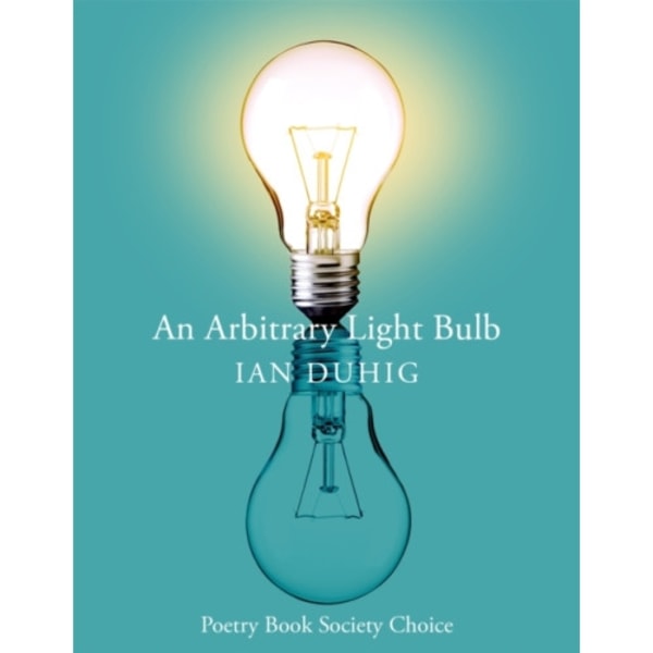 An Arbitrary Light Bulb (häftad, eng)