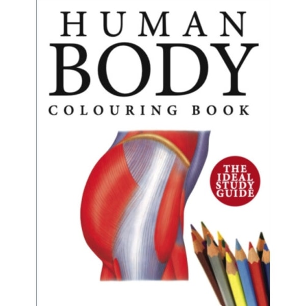 Human Body Colouring Book (häftad, eng)