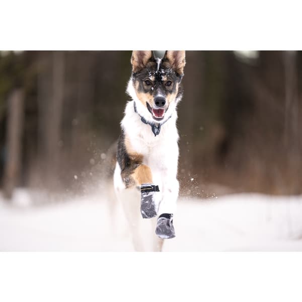 Hundskor Endurance 4p Grå Mini