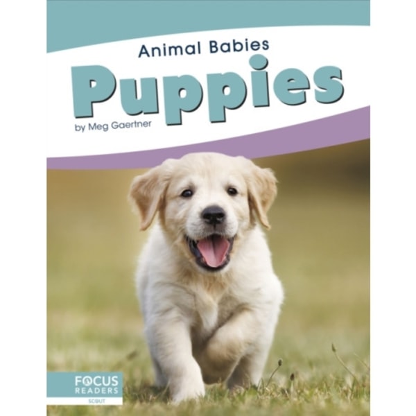 Animal Babies: Puppies (inbunden, eng)