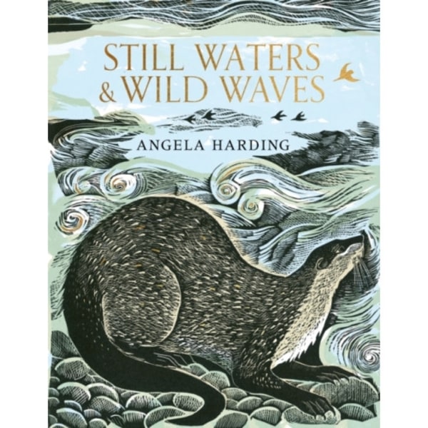 Still Waters & Wild Waves (inbunden, eng)