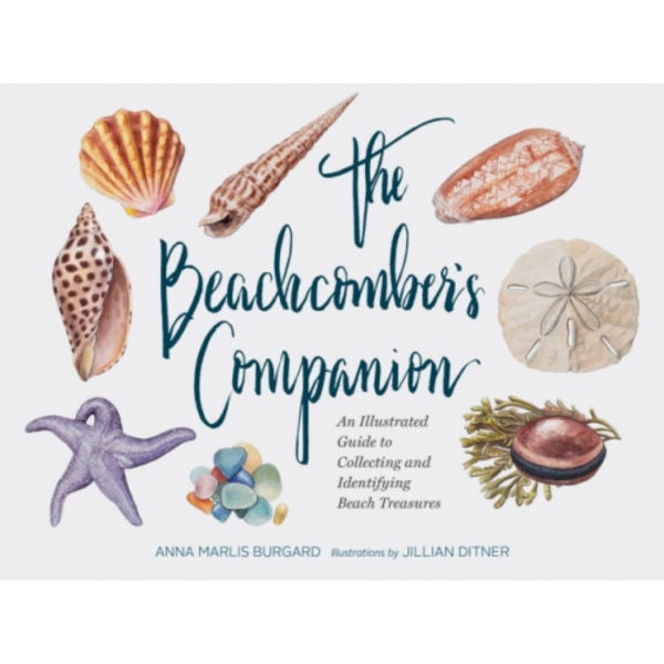 Beachcomber's Companion (inbunden, eng)