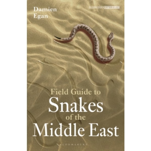 Field Guide to Snakes of the Middle East (häftad, eng)