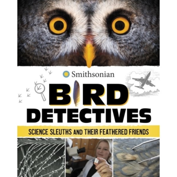 Bird Detectives (inbunden, eng)