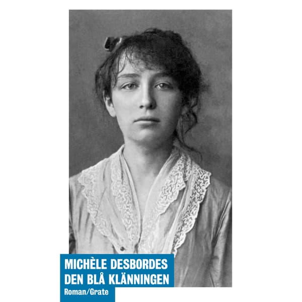 Den blå klänningen (bok, danskt band)