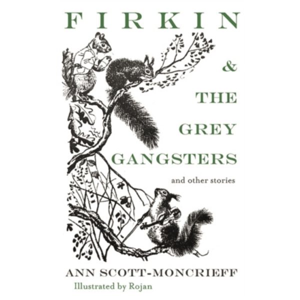 Firkin & The Grey Gangsters (häftad, eng)