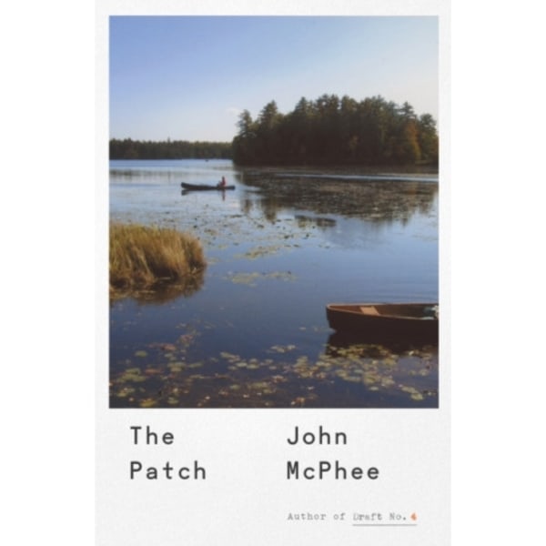 The Patch (inbunden, eng)