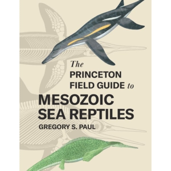 The Princeton Field Guide to Mesozoic Sea Reptiles (inbunden, eng)