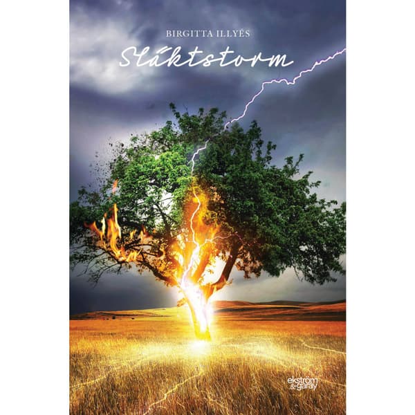 Släktstorm (bok, danskt band)