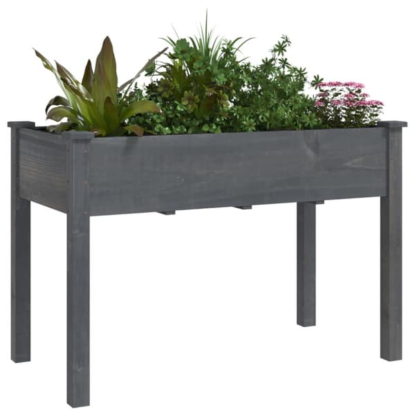 Odlingslåda med foder grå 118x59x76 cm massivt granträ