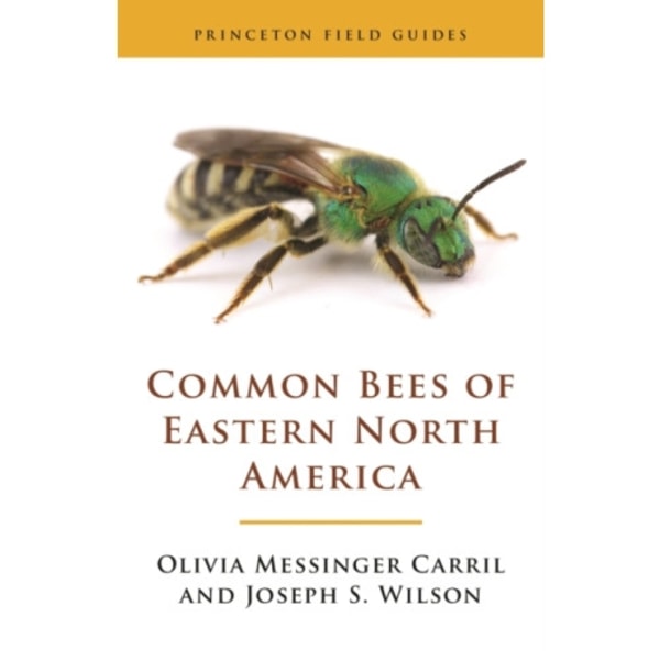 Common Bees of Eastern North America (häftad, eng)