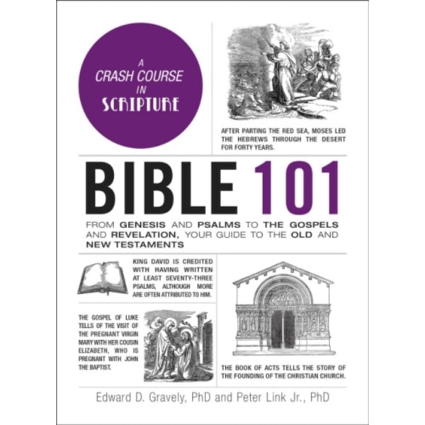 Bible 101 (inbunden, eng)