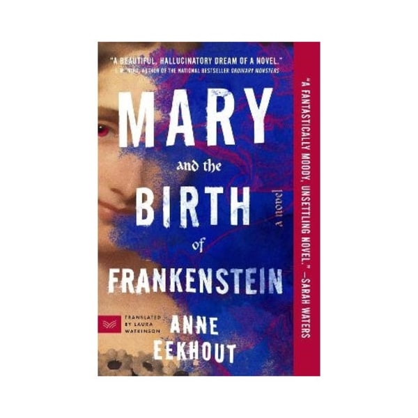 Mary and the Birth of Frankenstein (häftad, eng)