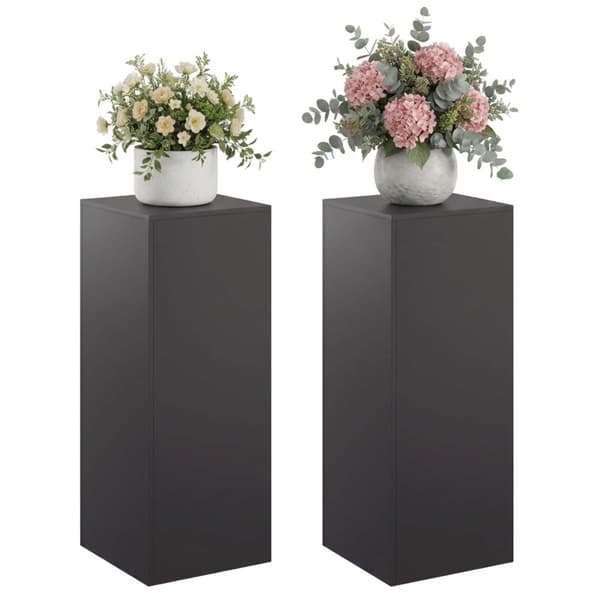 Växtställ 2 pcs Svart 40 x 40 x 100 cm Stål