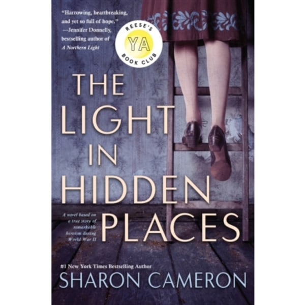 The Light in Hidden Places (häftad, eng)