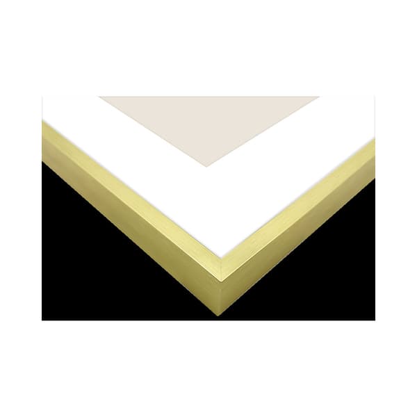 Focus Aster Gold 24x30/PP 18x24