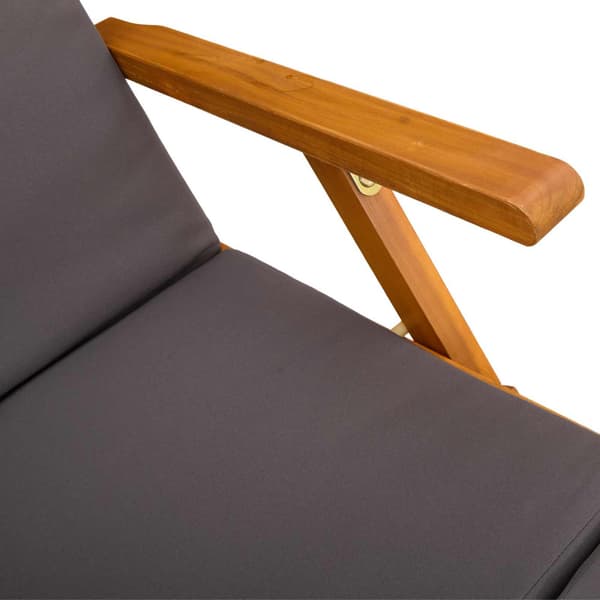 Reclining och Fällbar Solstol 2 pcs Grå 55 x 146 x 91 cm