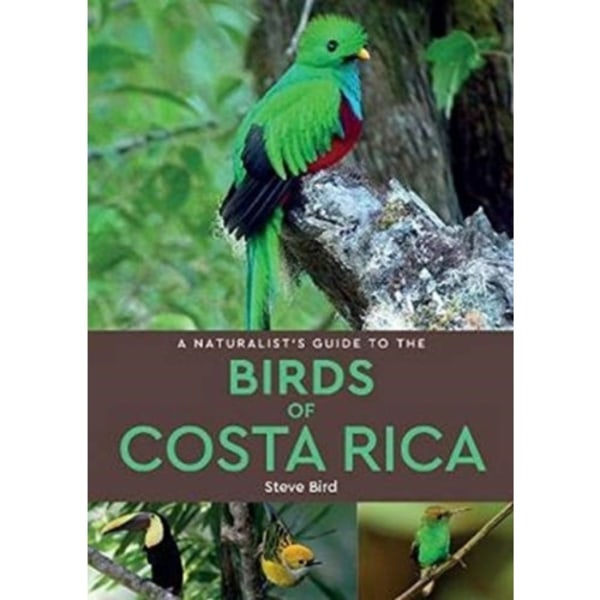 A Naturalist’s Guide to the Birds of Costa Rica (2nd edition) (häftad, eng)