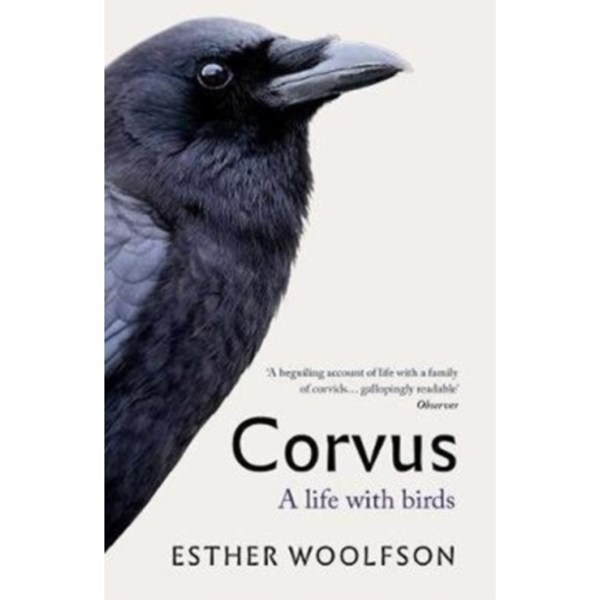 Corvus (häftad, eng)
