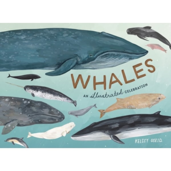 Whales (inbunden, eng)