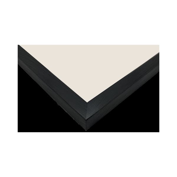 Focus Willow Black 20x30