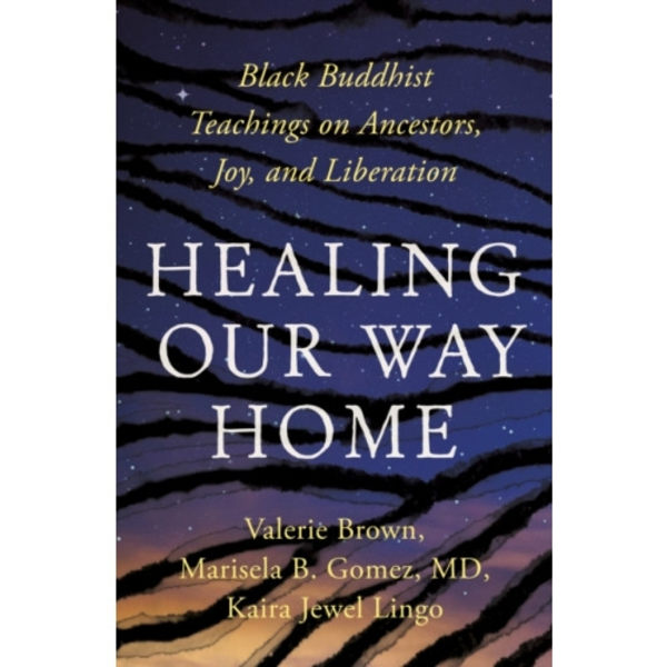Healing Our Way Home (häftad, eng)