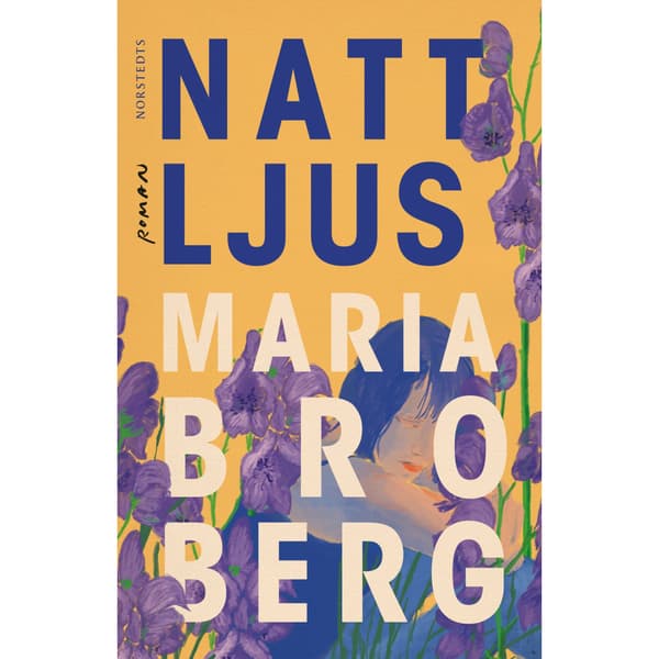 Nattljus (inbunden)