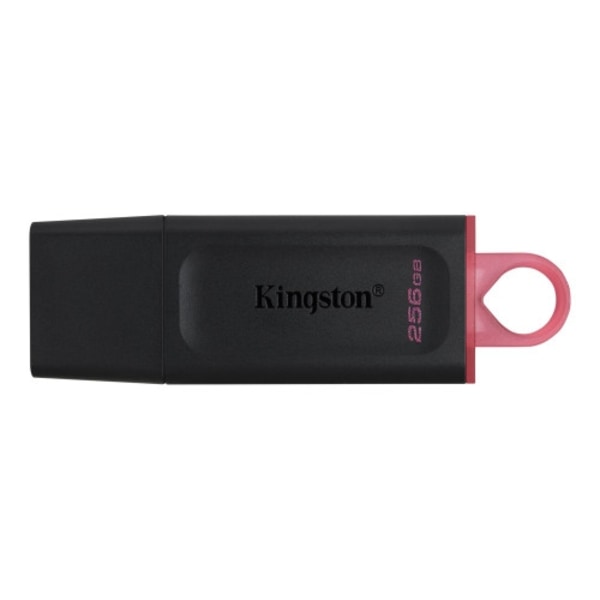 Kingston DataTraveler Exodia - USB flash-enhet - 256 GB