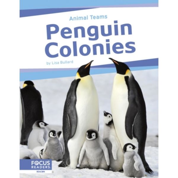 Penguin Colonies (inbunden, eng)