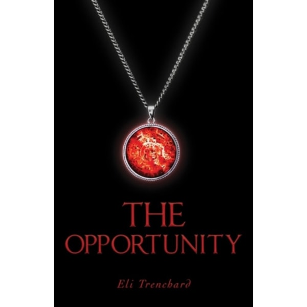 The Opportunity (häftad, eng)