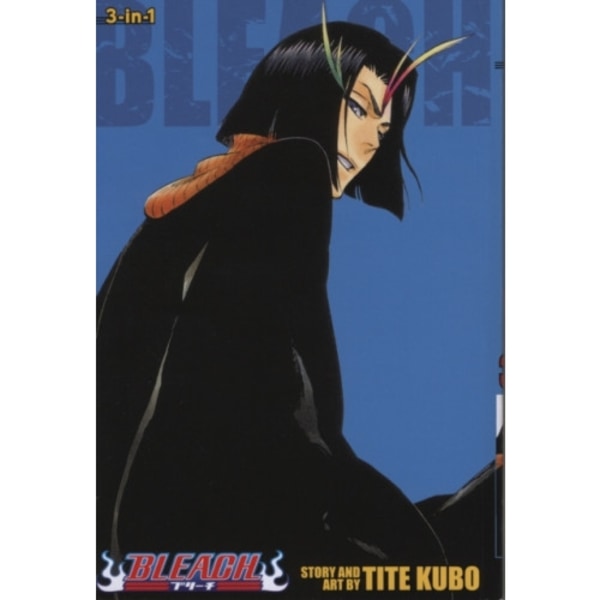 Bleach (3-in-1 Edition), Vol. 13 (häftad, eng)