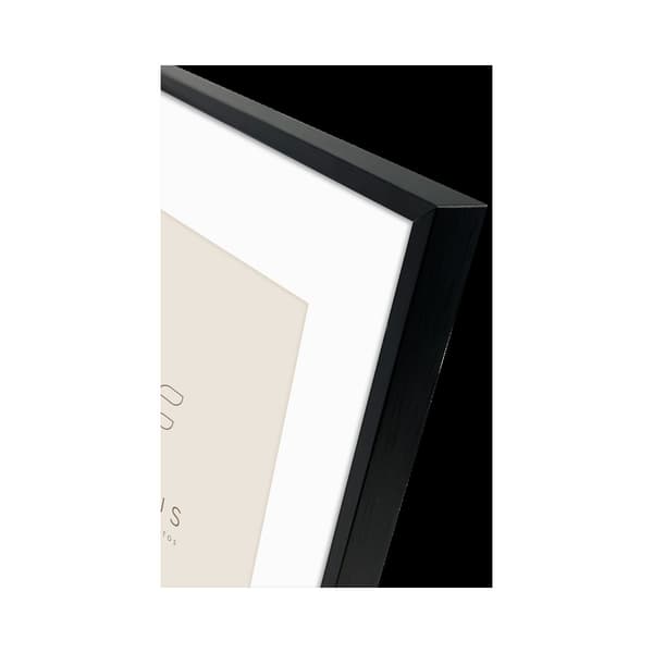 Focus Aster Black 18x24/ PP 13x18