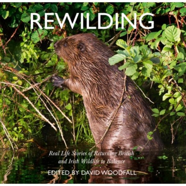 Rewilding (häftad, eng)
