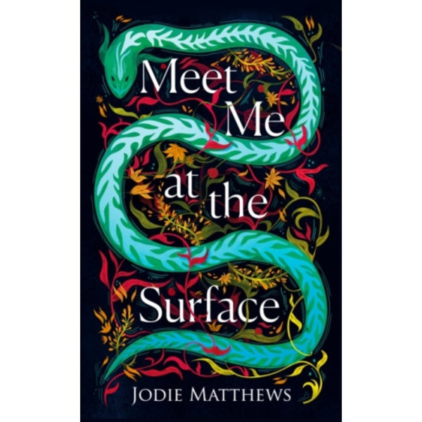 Meet Me at the Surface (häftad, eng)