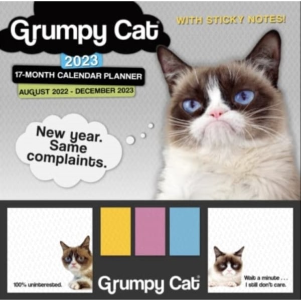 GRUMPY CAT ITS ALL DOWNHILL FROM HERE (häftad, eng)