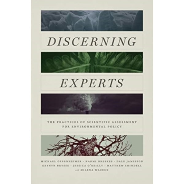 Discerning Experts (häftad, eng)