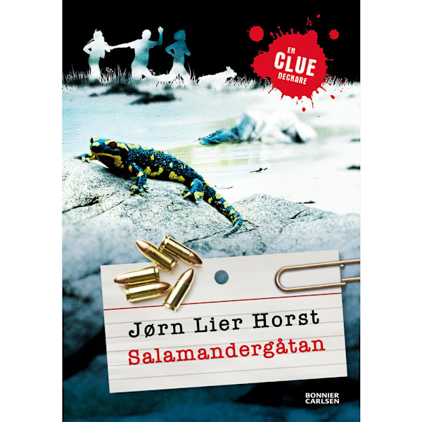 Salamandergåtan (bok, kartonnage)